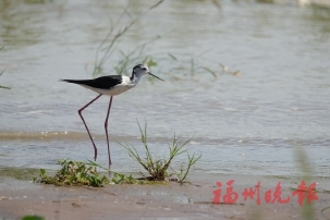 �����ӿ�ʪ��ӭ���������