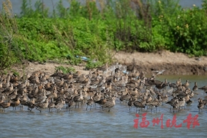 �����ӿ�ʪ��ӭ���������