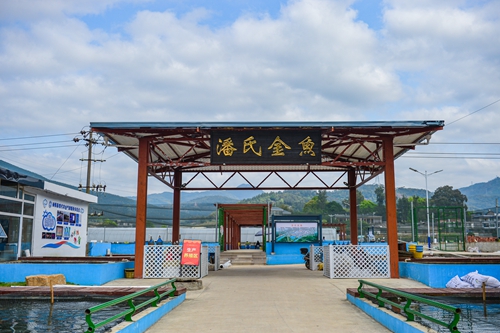 关中：小金鱼“游”出大产业