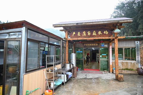 雪峰：念好“山”字经　村美产业兴