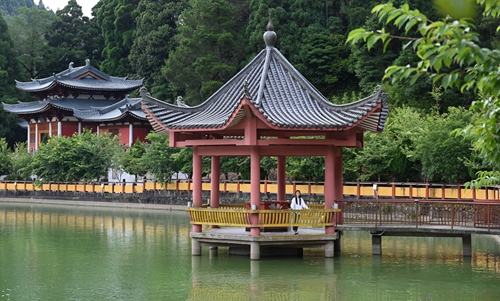 雪峰：念好“山”字经　村美产业兴